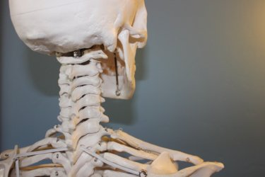 第一肋骨症候群の原因・症状・治療法