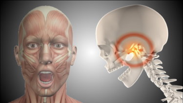 顎関節の関節運動学と関連症状