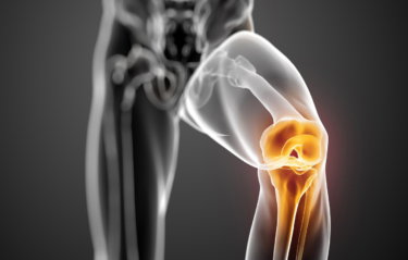 大腿脛骨関節の関節運動学