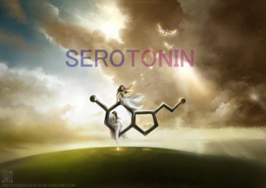 セロトニン（幸せホルモン）を増やすためにやるべき5つのこと
