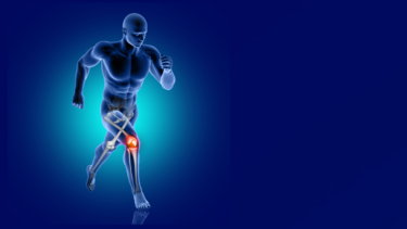 下肢関節のマルアライメントが前十字靭帯へ及ぼす影響について