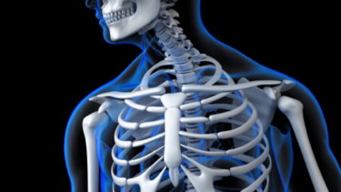 胸郭の関節運動学と関連症状