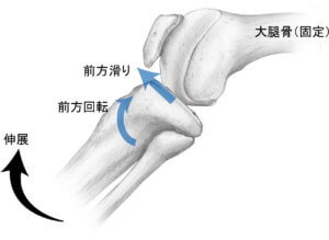 脛骨伸展の関節内運動
