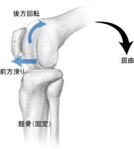 膝関節の関節内運動