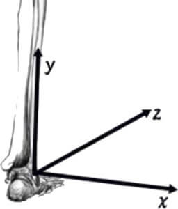 距腿関節の運動軸